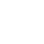 100% Vegano